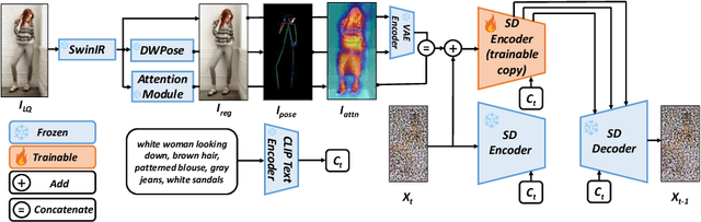 Figure 4 for DiffBody: Human Body Restoration by Imagining with Generative Diffusion Prior