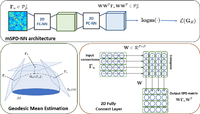 Figure 1 for mSPD-NN: A Geometrically Aware Neural Framework for Biomarker Discovery from Functional Connectomics Manifolds