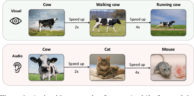 Figure 1 for Speed Co-Augmentation for Unsupervised Audio-Visual Pre-training