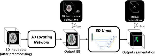 Figure 2 for Automated Ventricle Parcellation and Evan's Ratio Computation in Pre- and Post-Surgical Ventriculomegaly