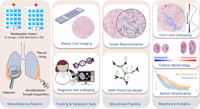 Figure 1 for MesoGraph: Automatic Profiling of Malignant Mesothelioma Subtypes from Histological Images