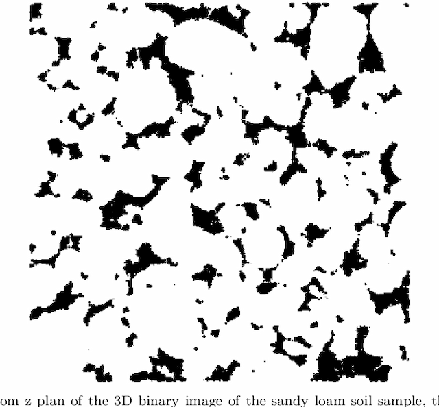 Figure 2 for Global Attractor for a Reaction-Diffusion Model Arising in Biological Dynamic in 3D Soil Structure