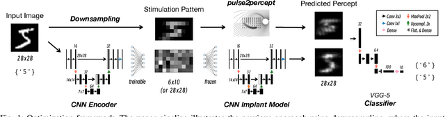 Figure 1 for A Deep Learning-based in silico Framework for Optimization on Retinal Prosthetic Stimulation