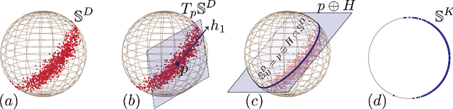 Figure 3 for Principal Component Analysis in Space Forms