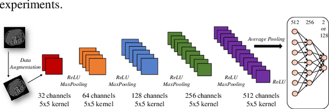 Figure 1 for Learning to diagnose cirrhosis from radiological and histological labels with joint self and weakly-supervised pretraining strategies
