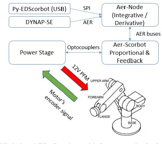 Figure 2 for Towards hardware Implementation of WTA for CPG-based control of a Spiking Robotic Arm