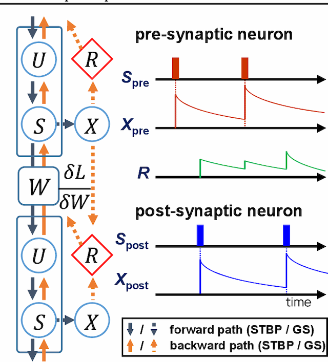 Figure 1 for Gradient Scaling on Deep Spiking Neural Networks with Spike-Dependent Local Information