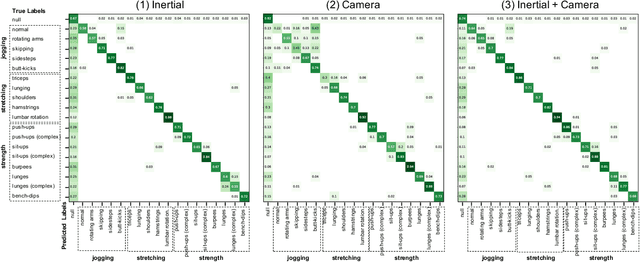 Figure 4 for WEAR: A Multimodal Dataset for Wearable and Egocentric Video Activity Recognition