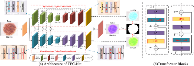 Figure 1 for TEC-Net: Vision Transformer Embrace Convolutional Neural Networks for Medical Image Segmentation