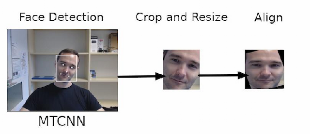 Figure 1 for Improving Depression estimation from facial videos with face alignment, training optimization and scheduling