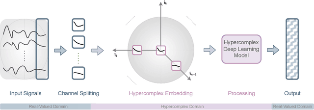 Figure 1 for Demystifying the Hypercomplex: Inductive Biases in Hypercomplex Deep Learning