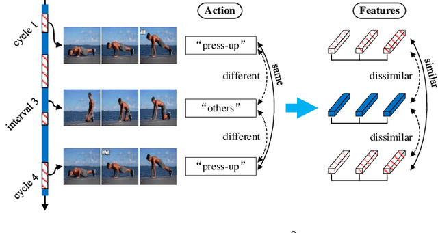 Figure 1 for IVAC-P2L: Leveraging Irregular Repetition Priors for Improving Video Action Counting