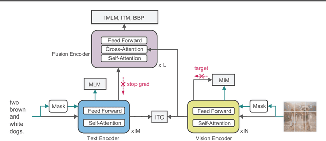 Figure 2 for Toward Building General Foundation Models for Language, Vision, and Vision-Language Understanding Tasks