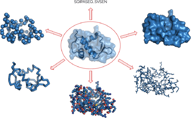 Figure 1 for AtomSurf : Surface Representation for Learning on Protein Structures