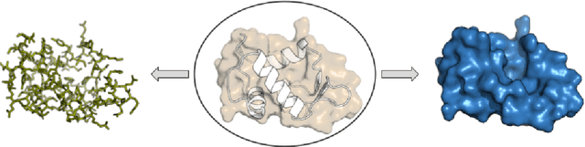 Figure 3 for AtomSurf : Surface Representation for Learning on Protein Structures