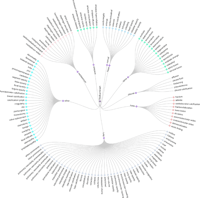 Figure 3 for Rethinking Medical Report Generation: Disease Revealing Enhancement with Knowledge Graph