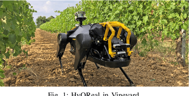 Figure 1 for Towards Computer-Vision Based Vineyard Navigation for Quadruped Robots