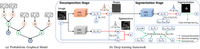 Figure 3 for BayeSeg: Bayesian Modeling for Medical Image Segmentation with Interpretable Generalizability