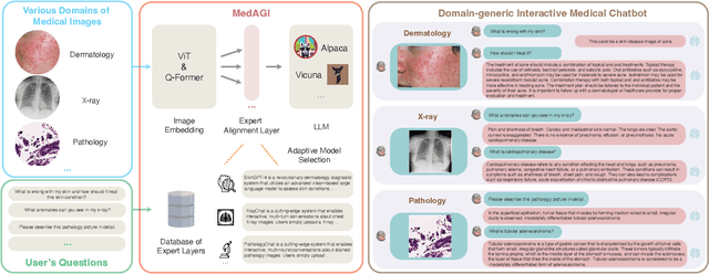 Figure 1 for Path to Medical AGI: Unify Domain-specific Medical LLMs with the Lowest Cost