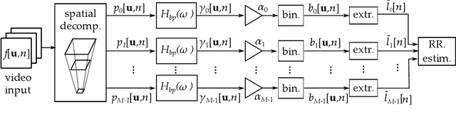 Figure 1 for Motion Magnification Algorithms for Video-Based Breathing Monitoring