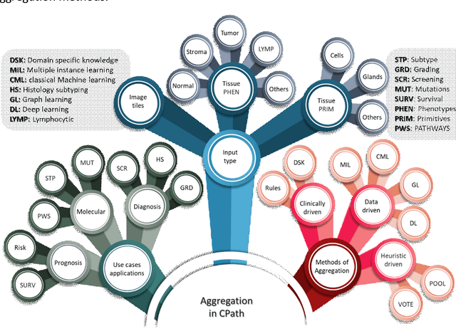 Figure 3 for An Aggregation of Aggregation Methods in Computational Pathology