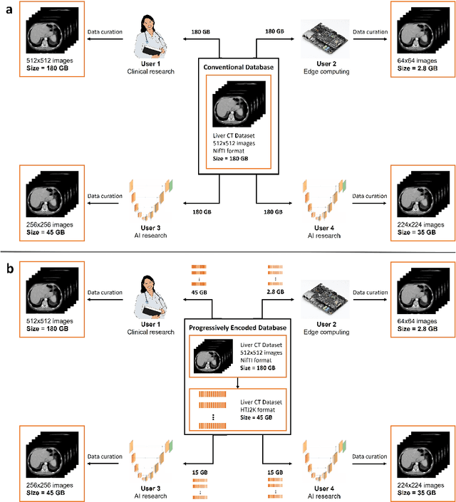 Figure 1 for One Copy Is All You Need: Resource-Efficient Streaming of Medical Imaging Data at Scale