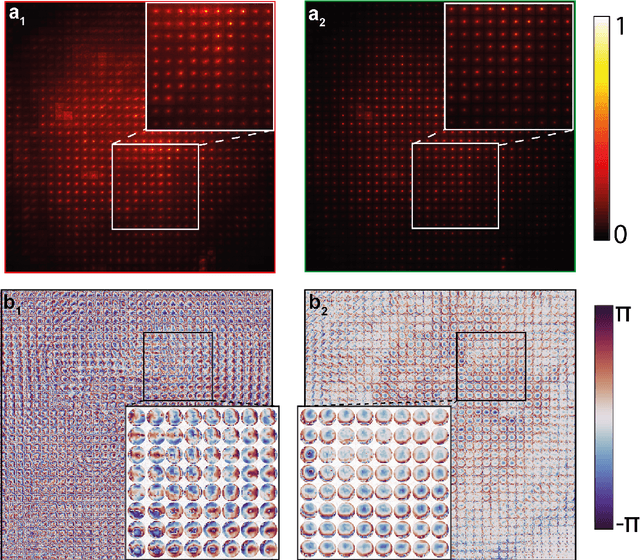 Figure 4 for Multi-Spectral Reflection Matrix for Ultra-Fast 3D Label-Free Microscopy