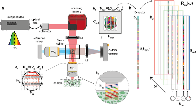 Figure 1 for Multi-Spectral Reflection Matrix for Ultra-Fast 3D Label-Free Microscopy