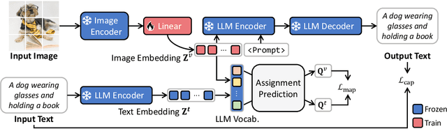 Figure 1 for Bridging Vision and Language Spaces with Assignment Prediction