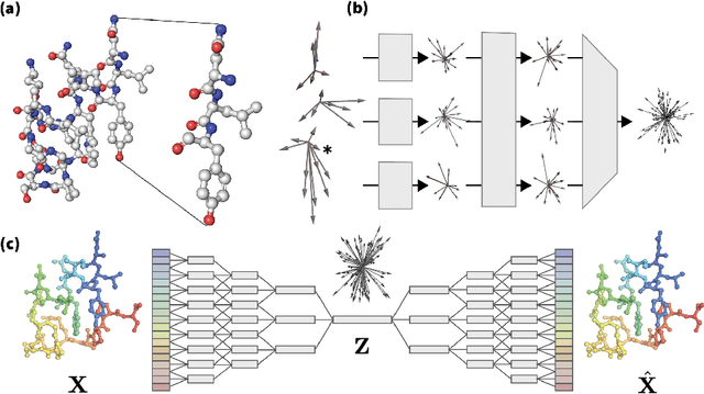 Figure 1 for Ophiuchus: Scalable Modeling of Protein Structures through Hierarchical Coarse-graining SO(3)-Equivariant Autoencoders
