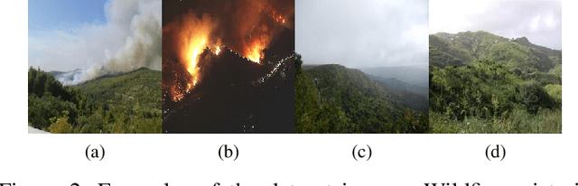 Figure 2 for Wildfire Detection Via Transfer Learning: A Survey