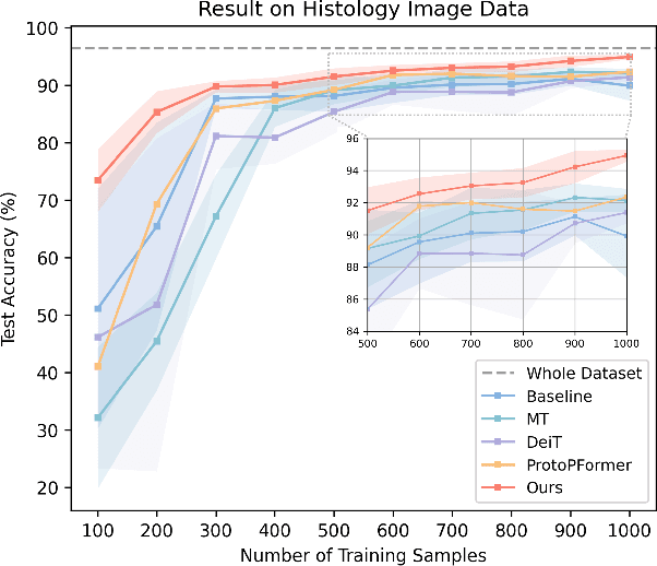 Figure 3 for MoViT: Memorizing Vision Transformers for Medical Image Analysis