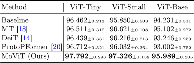 Figure 2 for MoViT: Memorizing Vision Transformers for Medical Image Analysis