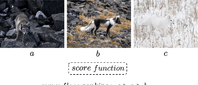 Figure 1 for The Making and Breaking of Camouflage
