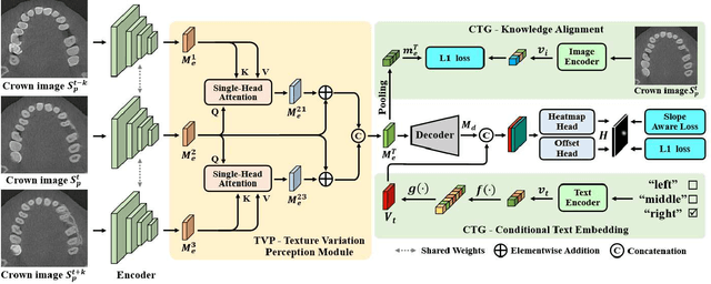 Figure 3 for TCSloT: Text Guided 3D Context and Slope Aware Triple Network for Dental Implant Position Prediction