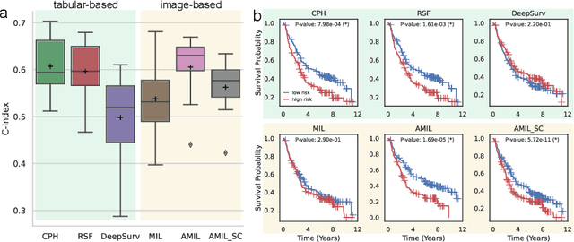 Figure 2 for Attention-based Multiple Instance Learning for Survival Prediction on Lung Cancer Tissue Microarrays