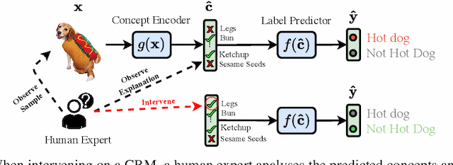 Figure 1 for Learning to Receive Help: Intervention-Aware Concept Embedding Models