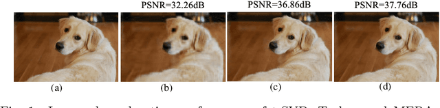 Figure 1 for Multi-view MERA Subspace Clustering