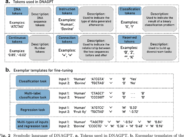 Figure 2 for DNAGPT: A Generalized Pretrained Tool for Multiple DNA Sequence Analysis Tasks