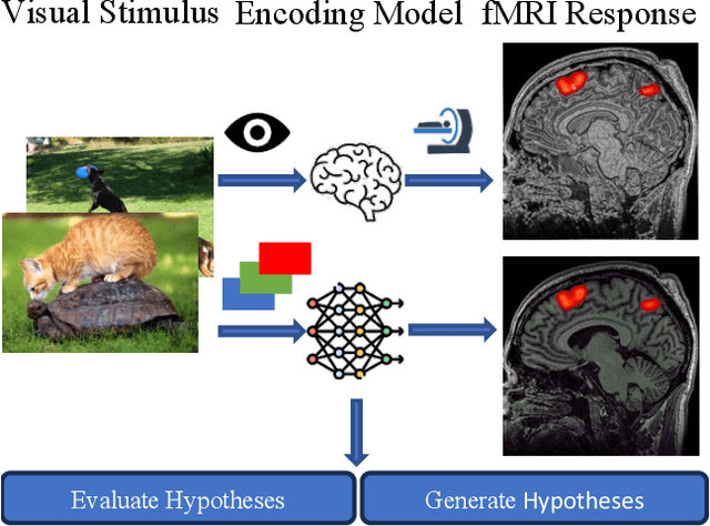 Figure 1 for Unidirectional brain-computer interface: Artificial neural network encoding natural images to fMRI response in the visual cortex