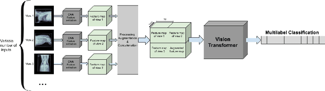 Figure 1 for StudyFormer : Attention-Based and Dynamic Multi View Classifier for X-ray images