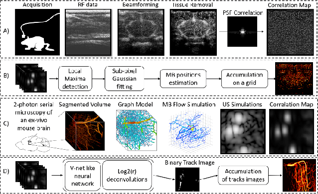 Figure 1 for A Deep Learning Framework for Spatiotemporal Ultrasound Localization Microscopy