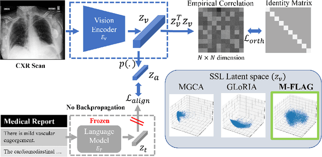 Figure 1 for M-FLAG: Medical Vision-Language Pre-training with Frozen Language Models and Latent Space Geometry Optimization