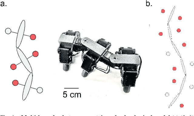 Figure 1 for Geometry of contact: contact planning for multi-legged robots via spin models duality