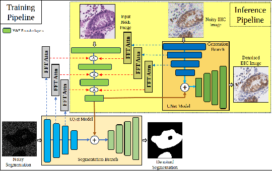 Figure 1 for StainDiffuser: MultiTask Dual Diffusion Model for Virtual Staining