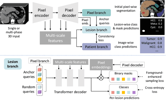 Figure 1 for Liver Tumor Screening and Diagnosis in CT with Pixel-Lesion-Patient Network