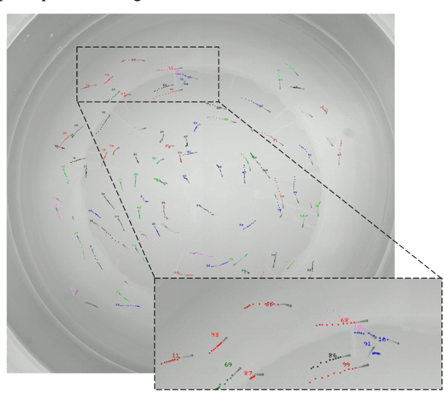 Figure 2 for FishMOT: A Simple and Effective Method for Fish Tracking Based on IoU Matching