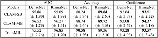 Figure 2 for Domain-Specific Pretraining Improves Confidence in Whole Slide Image Classification