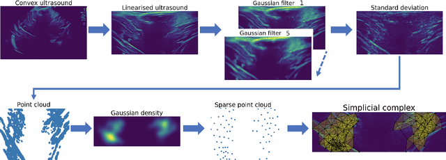 Figure 3 for Identifying Visible Tissue in Intraoperative Ultrasound Images during Brain Surgery: A Method and Application