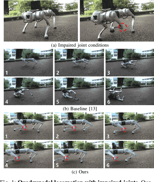 Figure 1 for Learning Quadrupedal Locomotion with Impaired Joints Using Random Joint Masking